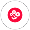 IINTRA sustainability